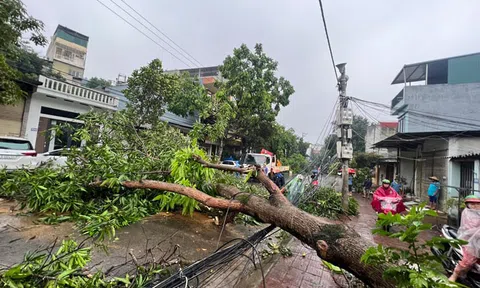 Dông lốc kèm mưa đá khiến hàng trăm nhà dân ở Lào Cai bị tốc mái, hư hỏng