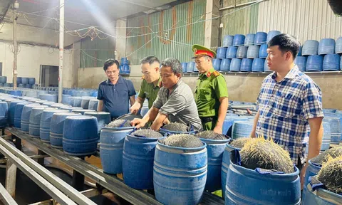 Gần 350 tấn giá đỗ ngâm chất độc hại đã lên bàn ăn