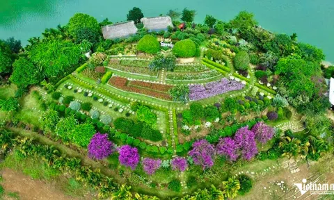 Vợ chồng biến đảo hoang ở Thái Nguyên thành khu vườn chữa lành thu hút du khách