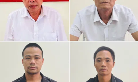Bắt cán bộ hải quan ở Lào Cai vì để mất rừng