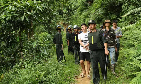 Công an Lào Cai triệt xóa "ổ nhóm" đánh bạc trên đồi quế