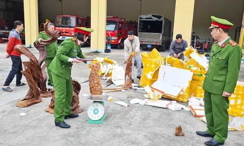 Bắt lô gỗ quý được nguỵ trang trên xe thư báo ở Hà Giang