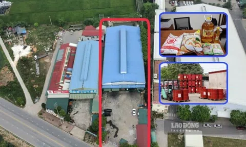 Tạm giữ giám đốc vụ làm giả hàng trăm tấn bột canh, mì chính, dầu ăn