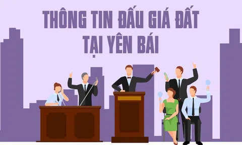 Đấu giá 40 lô đất ở Yên Bái khởi điểm hơn 3,5 triệu đồng/m2