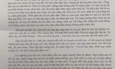 Đề thi, đáp án môn Ngữ văn thi vào lớp 10 tỉnh Yên Bái năm 2025
