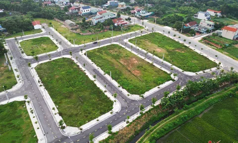 Phú Thọ hoàn tất đấu giá 140 ô đất, tiết lộ số tiền thu được