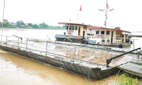 Nối lại cầu phao Phong Châu