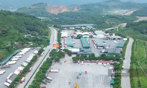 Đấu giá quyền thuê một phần Trung tâm hội chợ trong khu cửa khẩu tỉ đô ở Lào Cai
