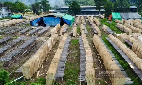 Tàn tích loạt nhà máy ôtô tiền tỉ giữa lòng Thái Nguyên