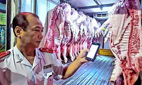 Tỉnh Phú Thọ: Chặn dịch tả heo châu Phi từ lò giết mổ