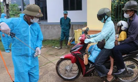 Phú Thọ quyết liệt phòng chống dịch tả lợn châu Phi