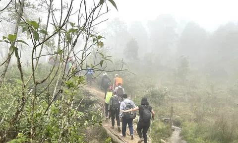 Lào Cai tạm dừng hoạt động ngoài trời, leo núi để ứng phó bão số 3