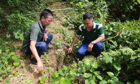 Sườn đồi nứt, người dân nơm nớp nỗi lo sạt lở