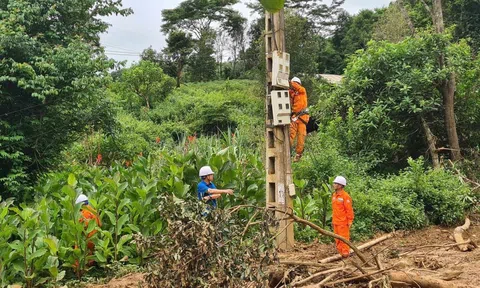 Gần 100% khách hàng tại vùng lũ Điện Biên, Sơn La được cấp điện trở lại